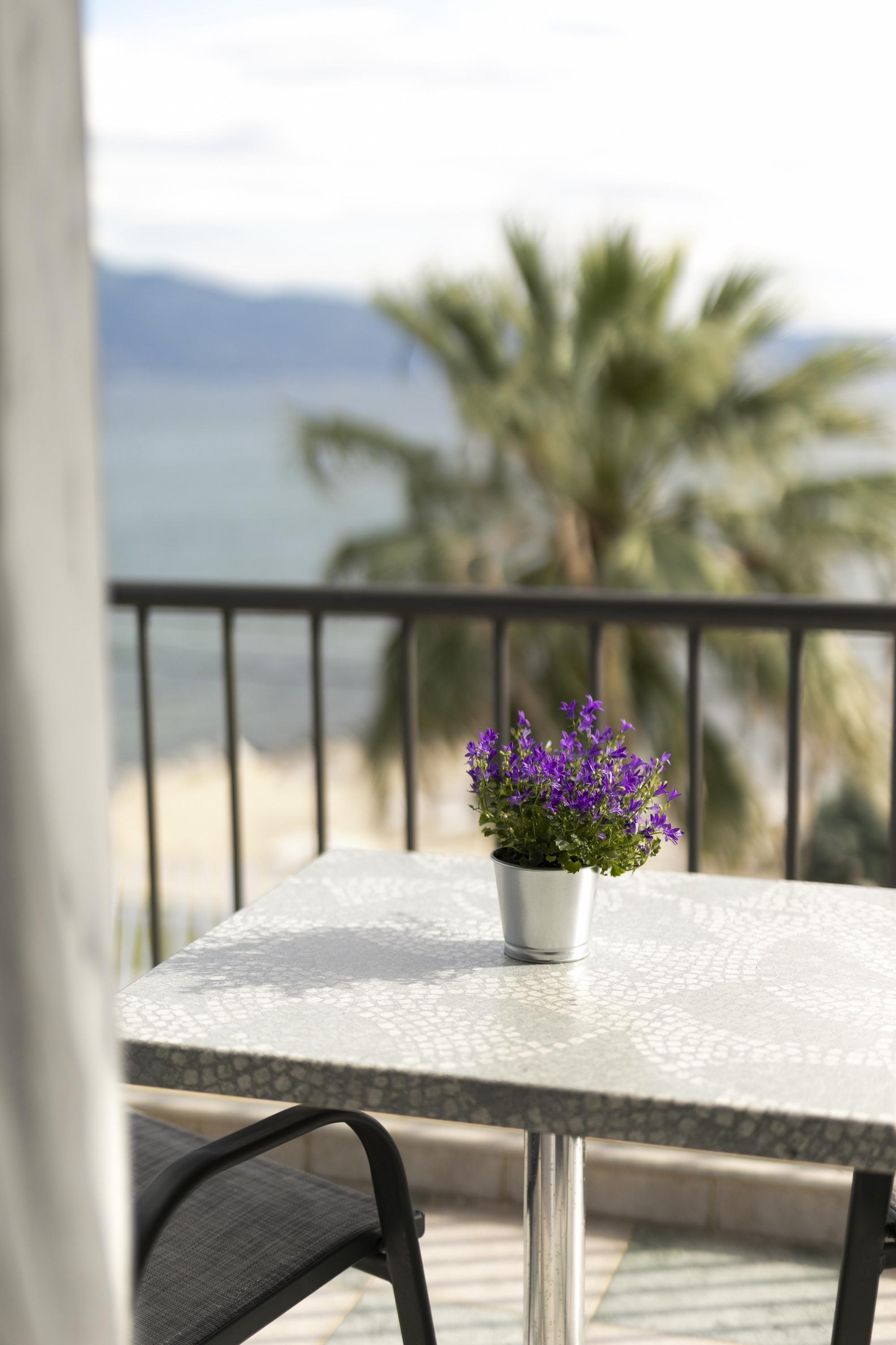 Calma Beach Hotel 斯塔夫罗斯 外观 照片